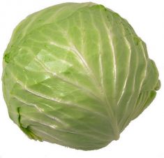 Cabbage - 1 Piece
